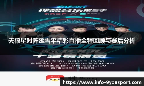 天狼星对阵延雪平精彩直播全程回顾与赛后分析